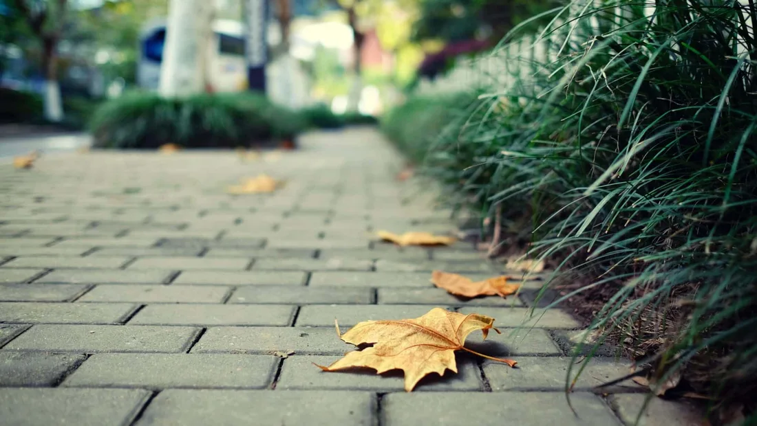 Reference image accompanying The Ultimate Guide to Choosing Between Stamped Concrete and Pavers
