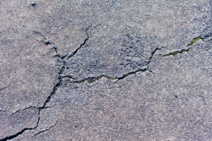Read more about the article Tips for Increasing Curb’s Appeal