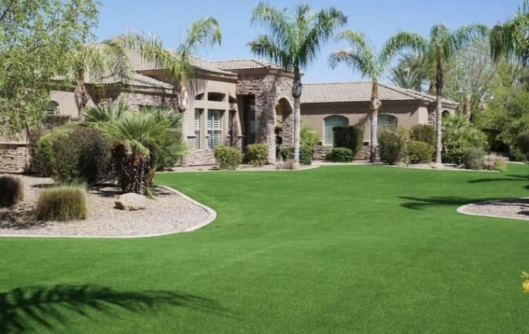 artifical turf synthetic grass gilbert az
