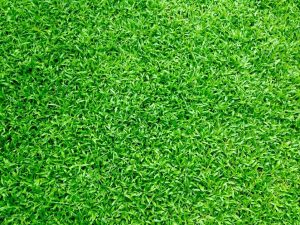 Read more about the article The Pros and Cons of Artificial Turf