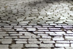 Read more about the article Methods To Cushion The Pavers from Harsh Winter